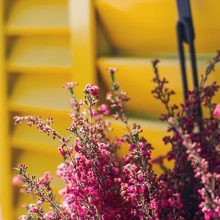 Casinha Dos Relogios