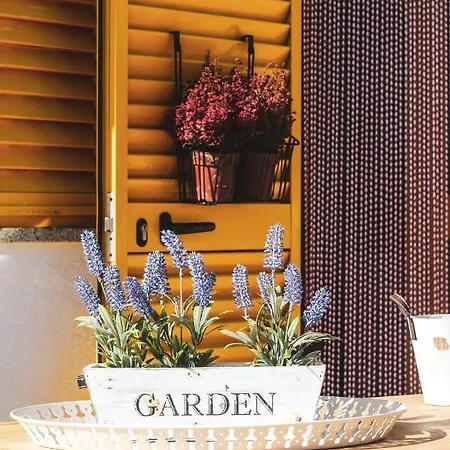 Casinha Dos Relogios Tatil Evi