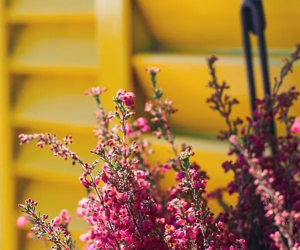 Casinha Dos Relogios